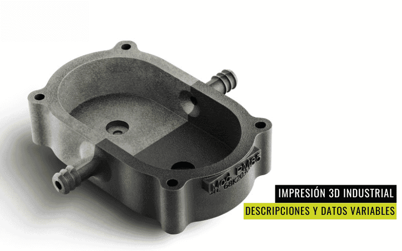 PolyD, descrpciones y datos variables