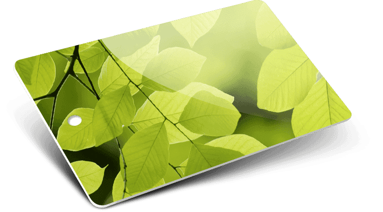 Card plastiche in PVC con Foro