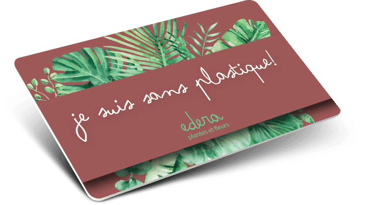 carte-cadeau écologique imprimées Couleur (4 + 4) CMYK