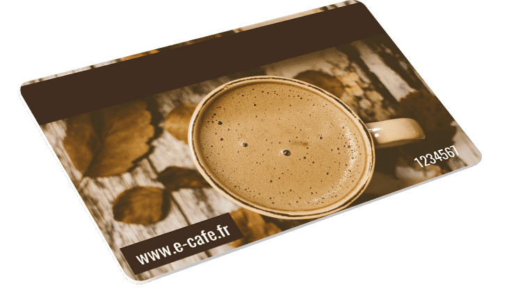 Cartes avec Bande magnétique + Numérotation