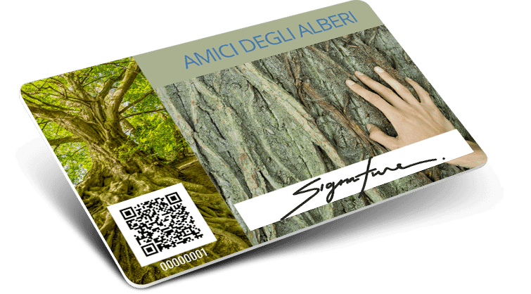 QR code + Numerazione + Firma