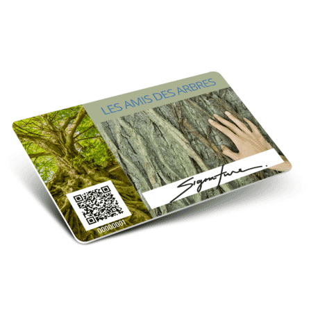 Cartes avec QR Code + numérotation + blanc d'écriture