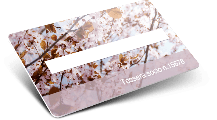 Tessere in plastica con numerazione e campo firma